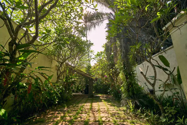 Tropical Oasis Garden