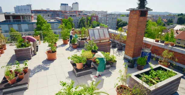 Urban Green Garden
